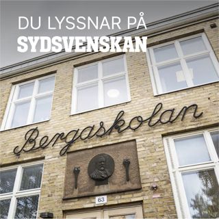 Stormen på Bergaskolan