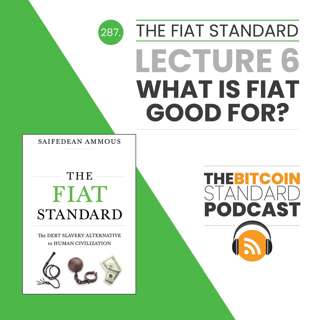 287. The Fiat Standard Lecture 6: What Is Fiat Good For?