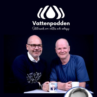 #35 Yrkesroller i VA-branschen: VA-konsult