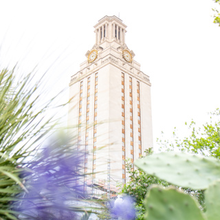 The Texan Explains: The Texan Primary Election 2026 and Runoff