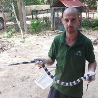 Ep. 198: Snakes in Asia with Mark Dainty