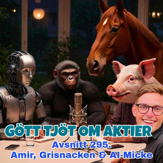 295. Amir, Grisnacken & AI-Micke