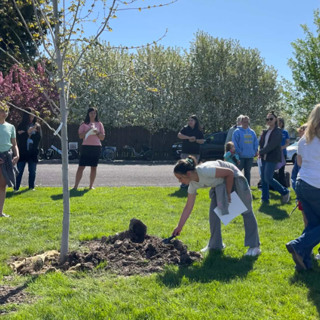 Sugar City to celebrate Arbor Day May 8