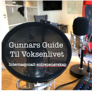 Internasjonalt entreprenørskap