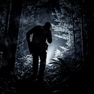 Bump in the Night