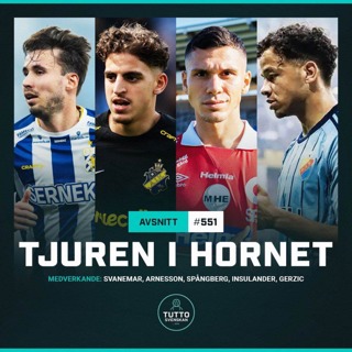 #551 Tjuren i hornet