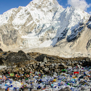 Can Pneumatic Tubes and Robot Sharks Solve Our Garbage Crisis?