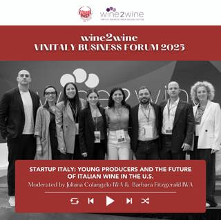 Ep. 2513 ITA Masterclass "Startup Italy: Young Producers and the Future of Italian Wine in the U.S." | wine2wine Vinitaly Business Forum
