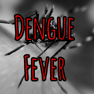 Basic management of Breakbone fever: PFC Podcast 213: Dengue Fever