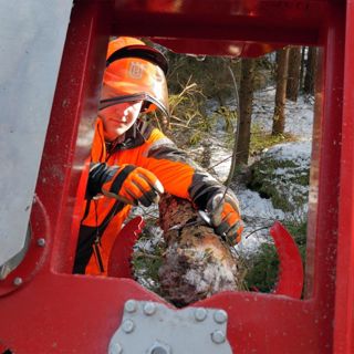 Skogsfredag #217 - Virkesprishöjningar igen och gallringsheureka!