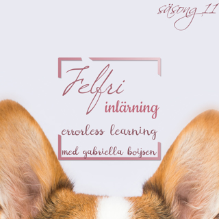 Felfri inlärning - Errorless learning