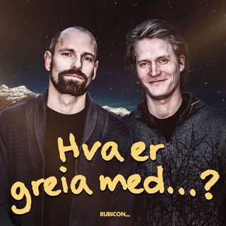 Hva er greia med Gottfried Wilhelm Leibniz?