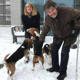 Hundmat god nog för människor?