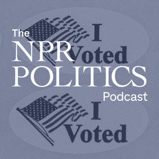What's Driving People To — Or Away From — The Polls?