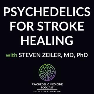 Psychedelics for Stroke Healing with Steven Zeiler, MD, PhD