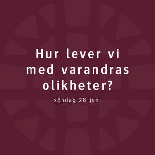 Hur lever vi med varandras olikheter? – Henrik Wernvik