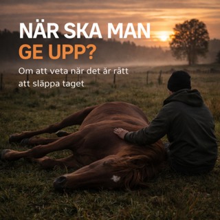 Gubben Med Hatten #53 – När ska man ge upp?