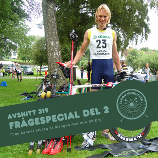 319. Frågespecial del 2