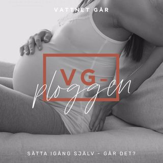 211. VG-ploggen - "Att sätta igång - funkar det?"