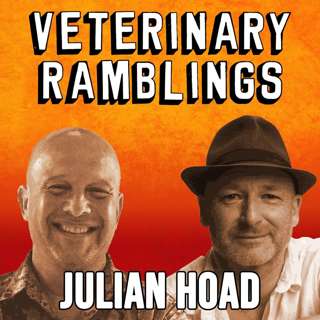 Ep 71: Special Episode: Learn About Julian Hoad
