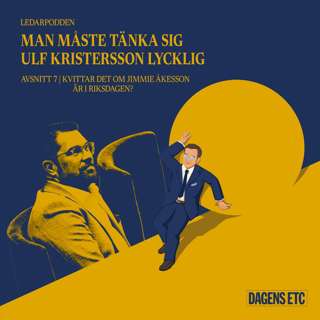 7. Kvittar det om Jimmie Åkesson är i riksdagen?