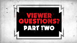 Viewer Questions Vol. 2 For KISS My Kollectibles