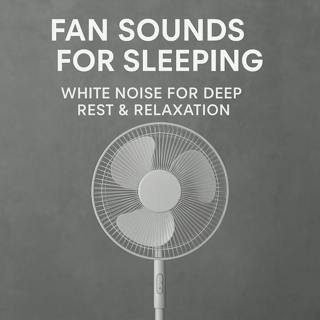Fan Sounds for Sleeping | White Noise for Deep Rest & Relaxation
