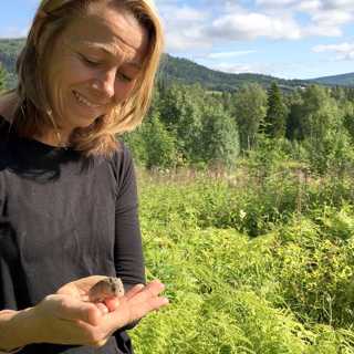 Julhälsningar från buskmusen, backsvalan och alla svamparna