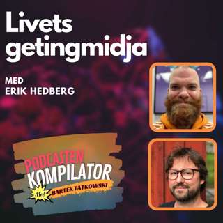 063 - Livets getingmidja med Erik Hedberg