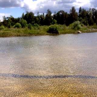 Naturpanelen om grodormen och fågeln i fickpluntan