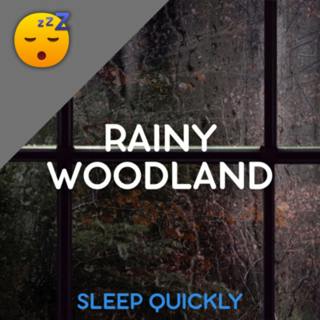 đ´đ§ď¸ RAINY Woodland to Fall ASLEEP