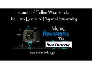 Lectures of Fallen Wisdom #2: The Two Levels of Immortality