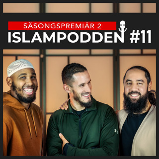 #11 En pandemi av kriminalitet och våld : Finns det någon lösning?