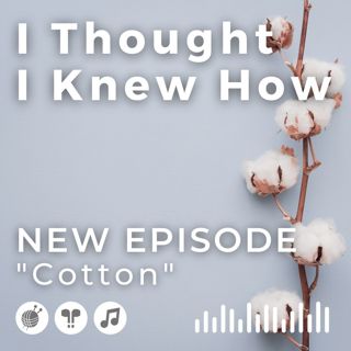 Episode 080: Cotton
