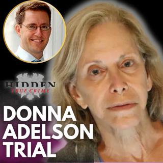 Wendi Accused, Donna Exposed.... The Adelson Plot Thickens | Trial Day 3 Recap