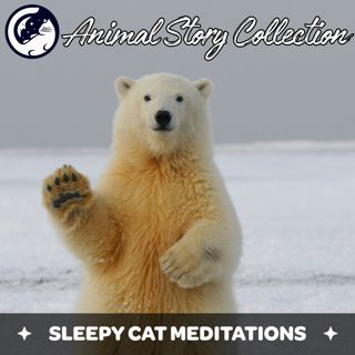 Bedtime Story Collection With Animals