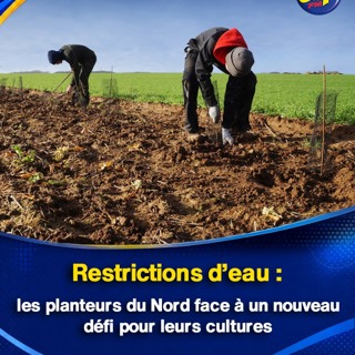 Restrictions d’eau : les planteurs du Nord face à un nouveau défi pour leurs cultures