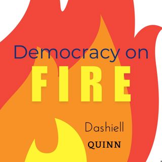 Introducing Democracy on Fire | TDG Fellowship
