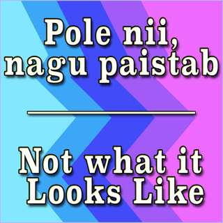Pole nii, nagu paistab / Not what it Looks Like 1
