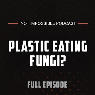 S2 Ep4: Plastic Eating Fungi? with Biodegradation Researcher Dr. Amira Samat