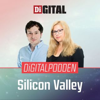 Digitalpodden Silicon Valley: "En långsamt pysande bubbla"