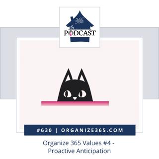 630 - Organize 365 Values #4 - Proactive Anticipation