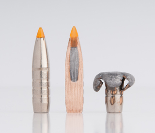 Top Elk Bullets (and a 3rd Edition Northern Shrike!)