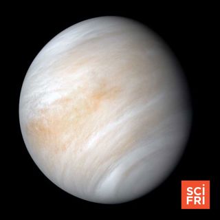 Looking for life in the clouds of Venus