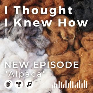 Episode 091: Alpaca