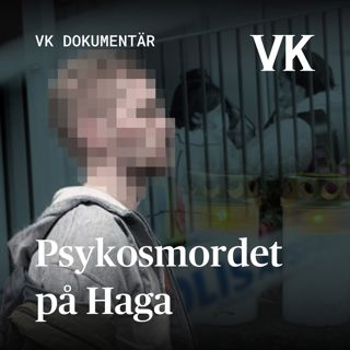 SMAKPROV: Psykosmordet på Haga