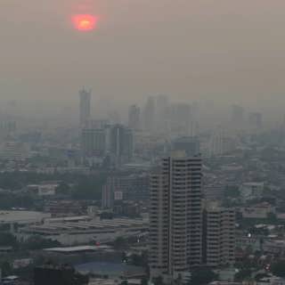 Fåglarna tystnar i Bangkok: Peder Gustafsson, Bangkok