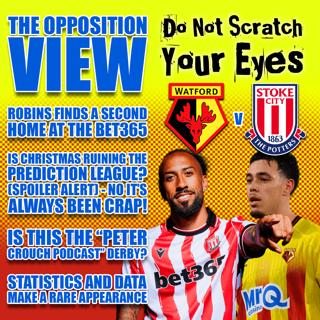 OPPOSITION VIEW - STOKE CITY (HOME)