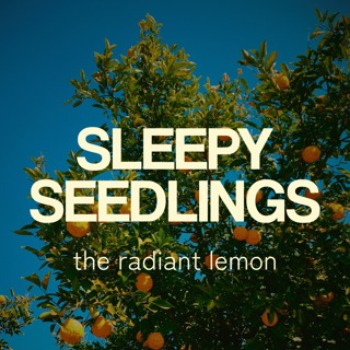 The Radiant Lemon
