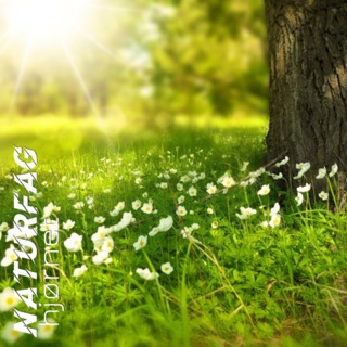 #1 Samspillet i naturen